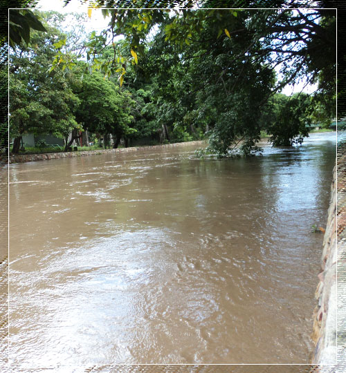 Río Manzanares - Cumaná