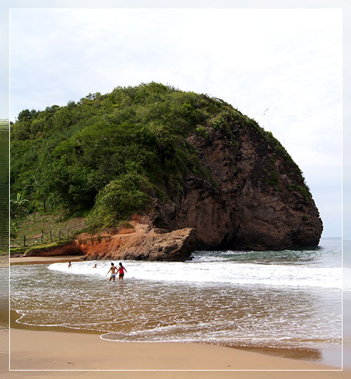 Playa Chaguarama de Loero