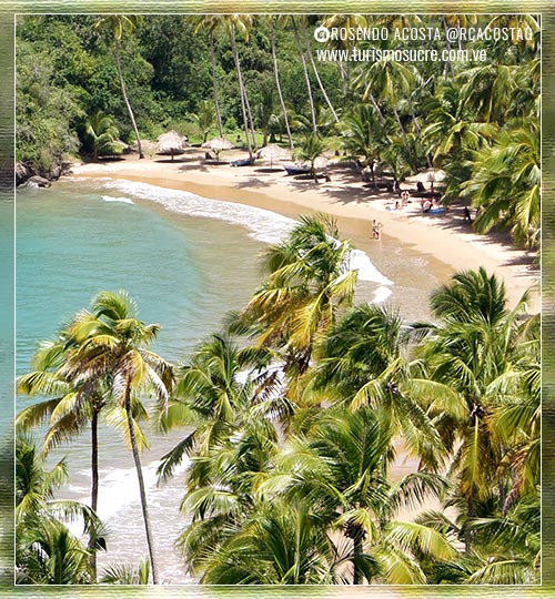Playa Medina