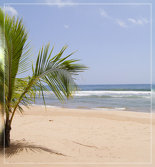 Playa Pui Pui