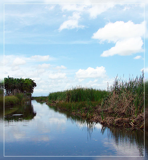 Sabana de Venturini