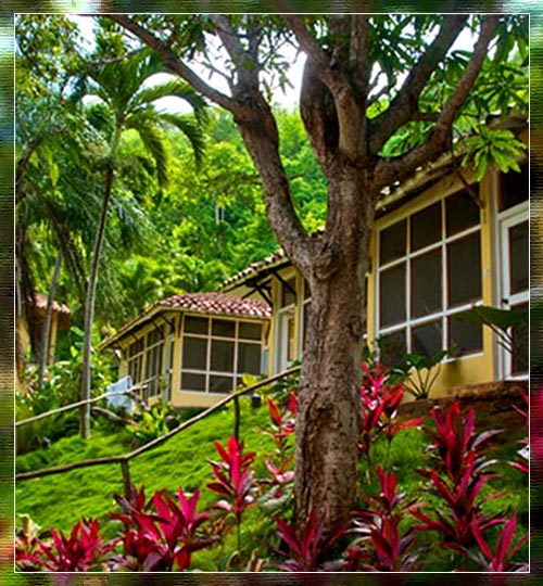 Hotel Villas Playa de Uva