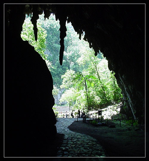 Parque Nacional Guácharo | Sucre Tours